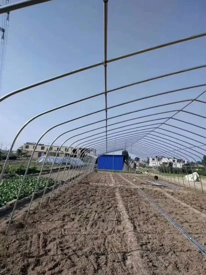 Les tuyaux de serre pour aubergines en stock Les tuyaux pour serre de pastèque sont populaires et personnalisés en fonction des besoins avec le système de plantation hydroponique