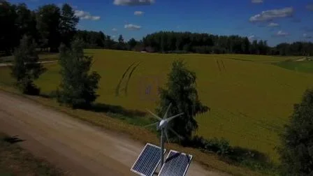 Plus de 24 ans d'expériences avec module de panneau solaire, alimentation par batterie, système de lampadaire solaire extérieur à LED